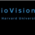 [720p]哈佛大学细胞生命系列－'分子马达'