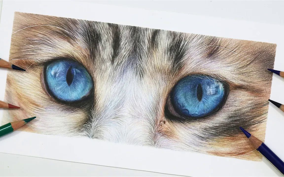 Amie Howard Art】42_如何用彩色铅笔画蓝猫的眼睛-哔哩哔哩