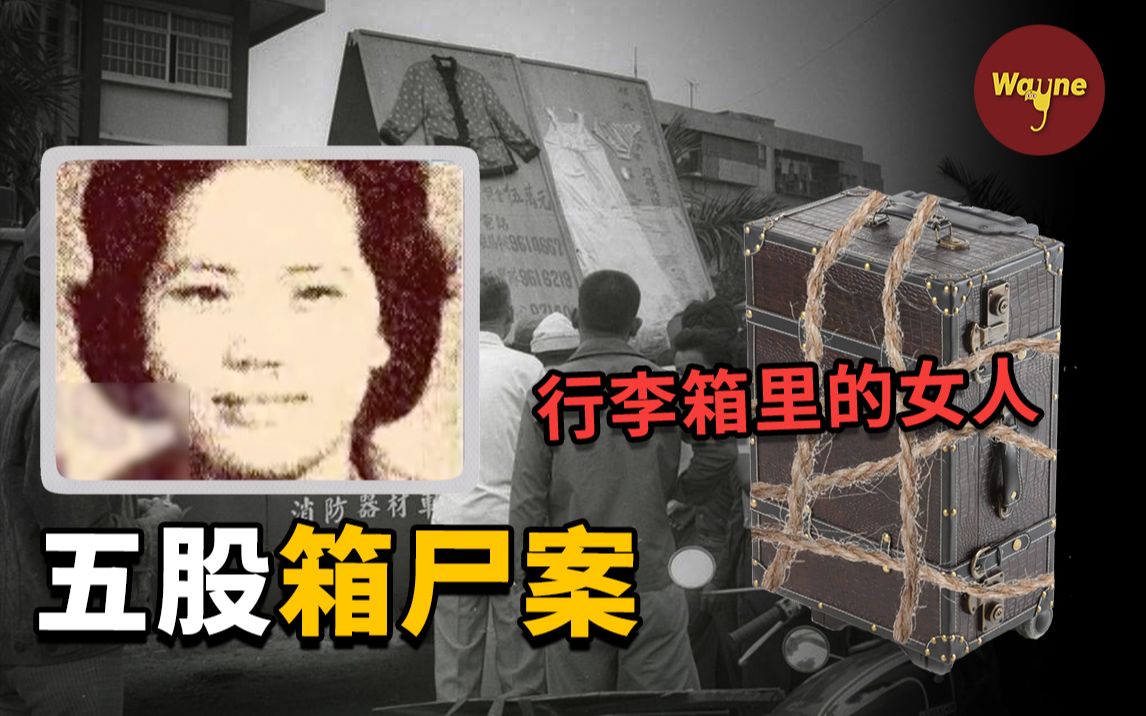 行李箱里惊现女人身体，警方神速破案，庆功宴上却收到受害者还活着的照片，重新调查发现惊人秘密 | Wayne调查