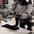 Tesla Optimus Bot FOLDS the Laundry !