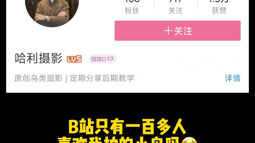 B站真的只有一百多人喜欢我拍的小鸟吗？