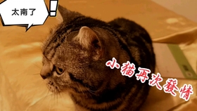 83ab706fb51f9d9d3a6a9451e7c78c36c6de639d.jpg@280w_158h_1c_100q.jpg