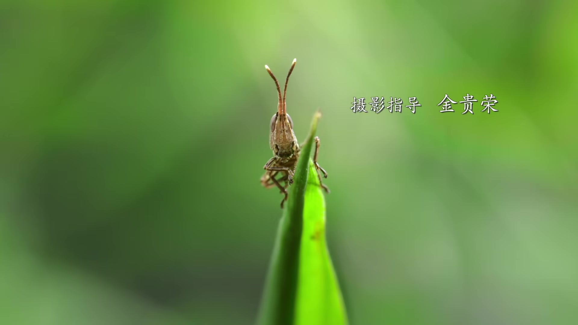 第01集 植物天堂