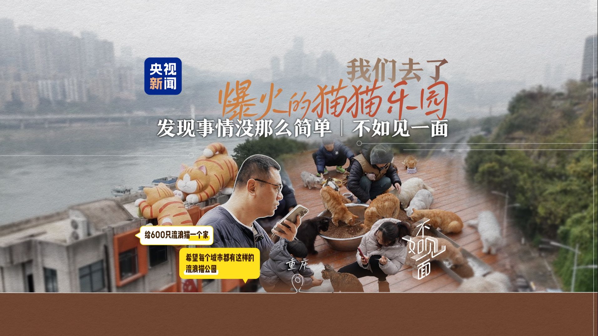 这是一座专门为流浪猫建造的乐园！