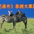 《纪录片》1080P-地球脉动--大草原-国语中文AI配音