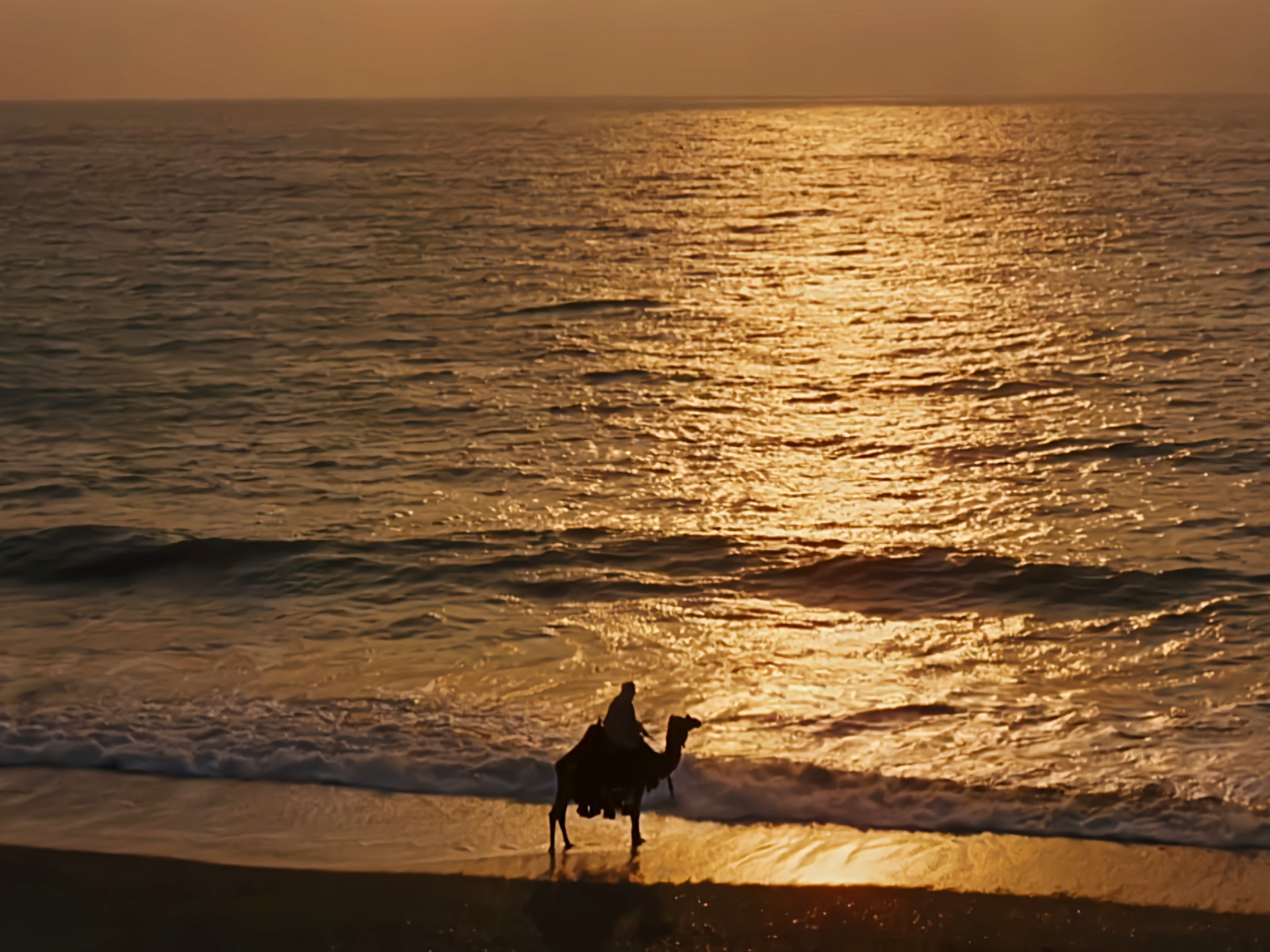 阿拉伯不朽名曲《望穿秋水》苍凉孤寂，神秘悠远