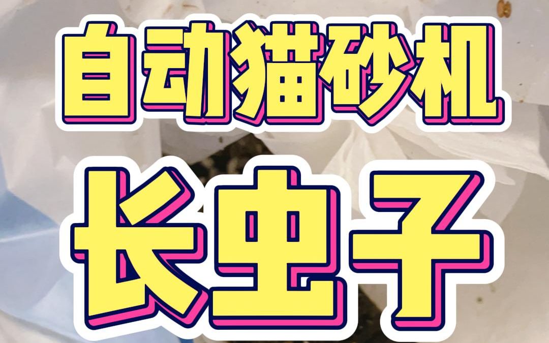 自动猫砂机长虫子