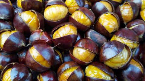 840d4ca0f517b5b0a49cde27bfb3cb26f92ceceb.jpg@480w_270h_1c