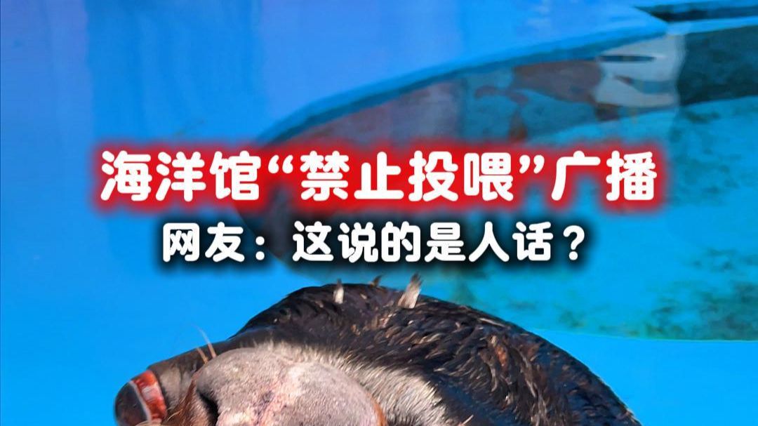海狮：我要是有手，非把你这破喇叭摔了！