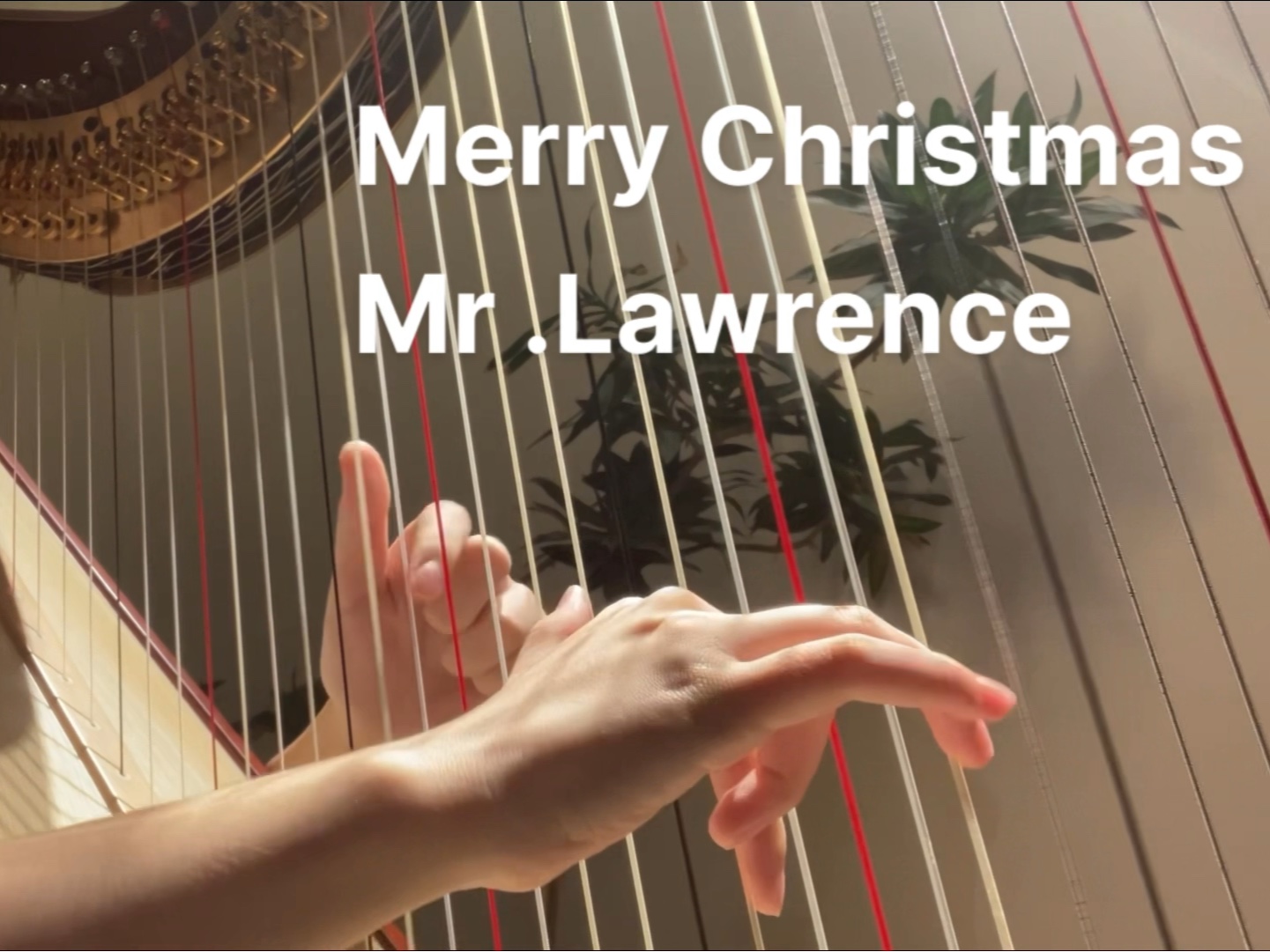 竖琴 |《 Merry Christmas, Mr Lawrence.》