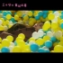 朴树—MV《好好地》