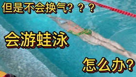 8429d4f062d7d8e0feea6b2e33194da9aef3e818.jpg@280w_158h_1c_100q.jpg