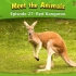 认识动物：红袋鼠-Meet the Animals Red Kangaroo