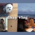 【dhay】韩国工科女学生的日常VLOG#17>>>2月的假期日常（江陵旅行/学习/饮食记录/跟狗狗玩）