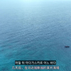 马达加斯加旅行小剧场-在海中捕鱼后尽情吃播的野生
