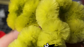 845de916fb48ef4f750ded276b0831e09e2d8963.png@280w_158h_1c_100q.jpg