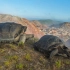 濒临灭绝的陆地巨龟，体重最高可达300多公斤