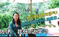 投稿封面