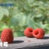 【Blender宝藏教程】鲜果树莓