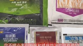 84ab5dffab25dffa020e95d5fb139ba792c82530.jpg@280w_158h_1c_100q.jpg
