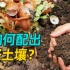 如何配出好的种植土壤？