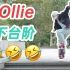 【滑板教学】Ollie怎么下台阶...