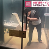 东京那个有名的透明公厕坏掉了：我上厕所的时候你应该看到了吧