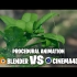 【中字】Blender 4.0几何节点教程：程序植物动画 c4d 与Blender