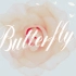 BEAST(비스트) - 'Butterfly' MV