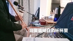 泪个蛋蛋掉进酒杯杯里曲谱马美如_泪蛋掉进酒杯杯里曲谱(2)