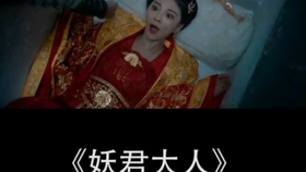 皇后重生，一部穿越时空的视觉盛宴，皇后重生，时空穿越的华丽篇章