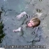被妈妈扔进冰冷的河里，即将淹死的小猴子，拼命求着妈妈救命