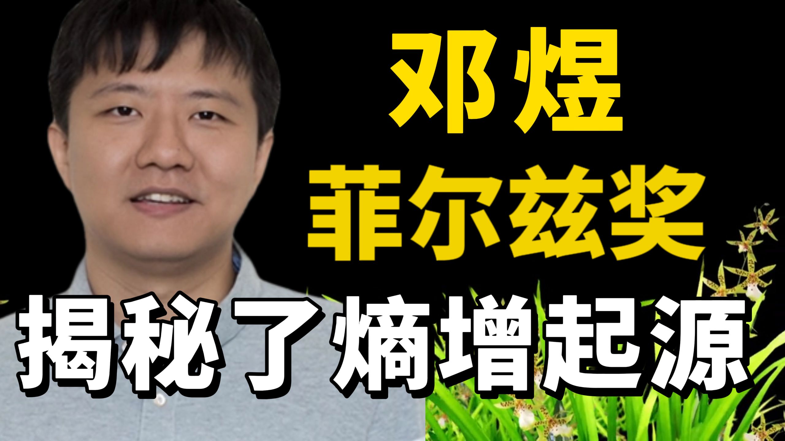 熵增定律的根源，竟然是数学结构！！全面深度科普邓煜的菲尔兹奖成果。什么是狭义的希尔伯特第6问题？熵增，是怎么从数学结构里自己生长出来的？熵为什么只增不减？