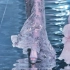 波光粼粼的人鱼裙摆 淋漓尽致的优雅魅力