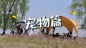 84f5d1ba79e2358f24749b23cfcf1716be45d7a3.jpg@280w_158h_1c_100q.jpg