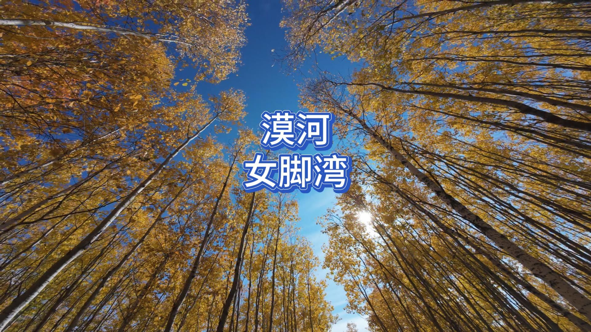 98.东北36：在331国道旁边凑个热闹，看看漠河的女脚湾