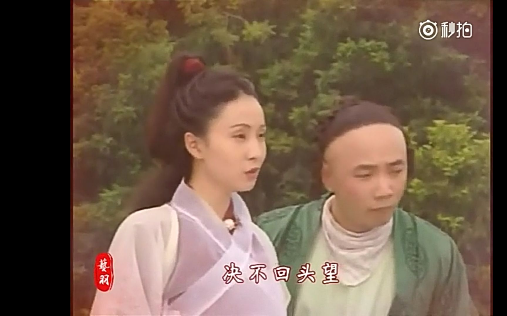 春光灿烂猪八戒