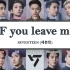 【SEVENTEEN】IF you leave me| 我会永远陪伴在你的身边 直到时间的尽头 | 中韩字幕翻译