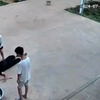 儿子打母亲，这真的是初生