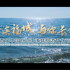 商业活动30秒快剪  活动快剪教程 活动快剪课程 政府活动快剪拍摄