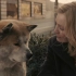 【电影】《忠犬八公的故事》中让猛男落泪的片段
