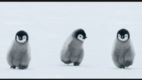 蘑菇蘑菇手势舞小蘑菇 8552c7c6df51a0a82e83229188939ba52df69f44.jpg@280w_158h_1c_100q.jpg