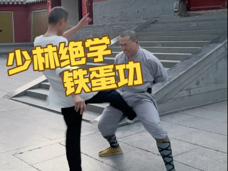 少林武术绝学 铁蛋功，. 🔥一功震天下！铁裆功速成指南：从「柔弱」到「金刚不坏」