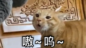 8576e70719453dc20291fe5b09b03e36d4dea93b.jpg@280w_158h_1c_100q.jpg