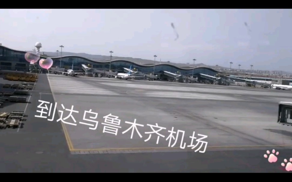 第一天想它第二天想第三天想他第六天失眠