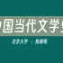 【北京大学】中国当代文学史（全45讲）陈晓明
