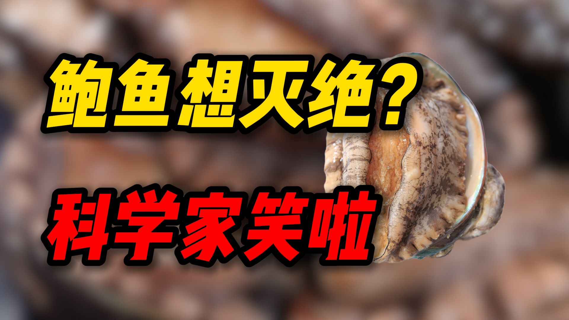 科学家在鲍鱼背后使了多大劲？