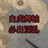 白虎舞袖，出文人学士，用不好必出淫乱之人
