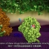 青霉素和抗生素耐药性分子机制动画演示（中英文字幕）