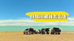 西藏怎么那么多流浪狗 85ad2ab79e32df1672cf3f95566ad43cb1f03ecd.jpg@310w_174h_1c_100q.jpg